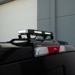Tri-Color Hornet - White strobe