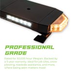 Tri-Color Hornet is professionally certified