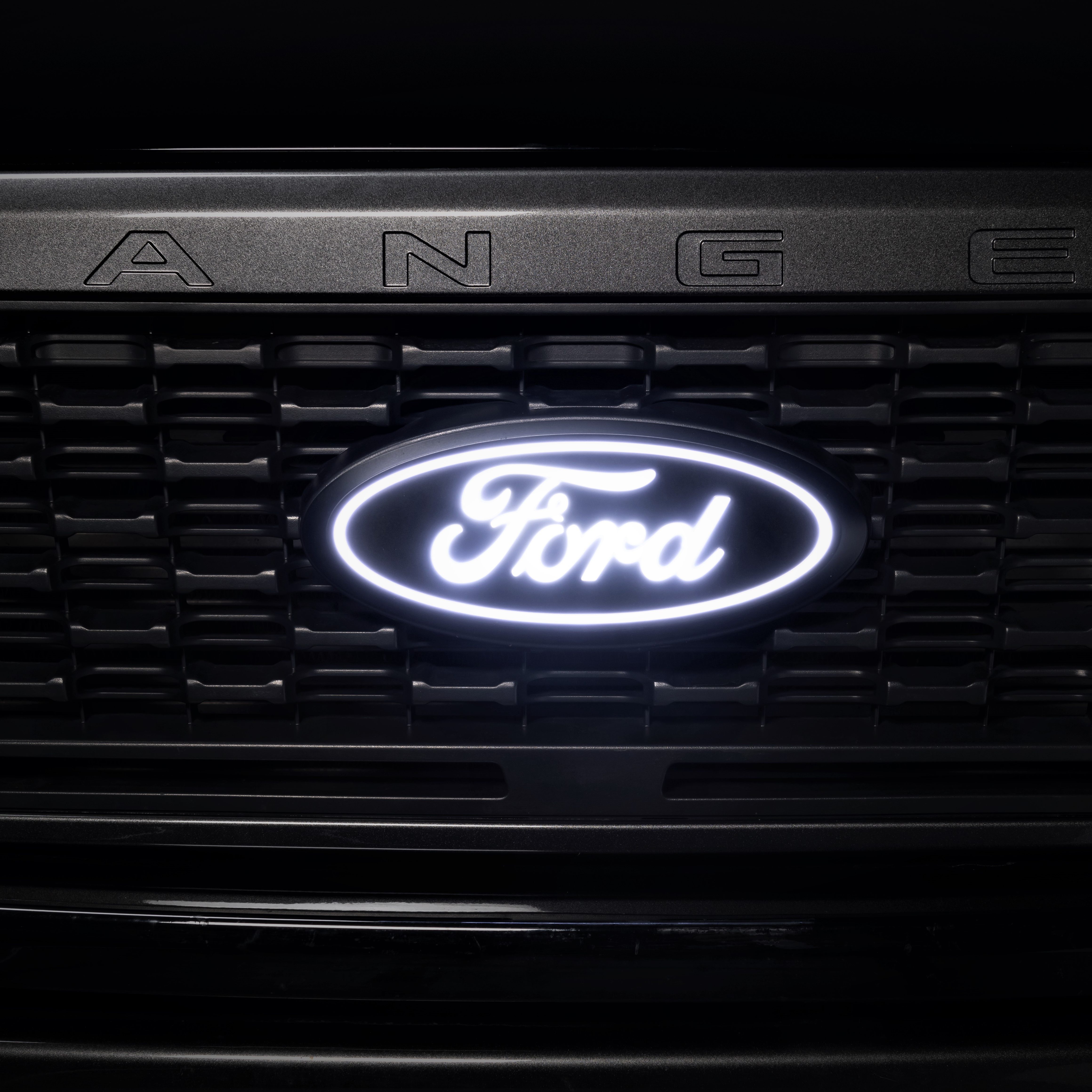 2019 f150 ford grill emblem custom matte/gloss black front with camera option 