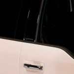 Putco F-150 Logo Platinum Black Pillar Posts Trim Kit