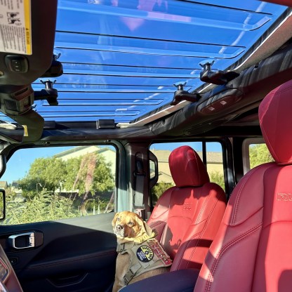 Putco Sky View – Keep your pup cool & comfy with tinted sun protection, the adventure never looked so good!