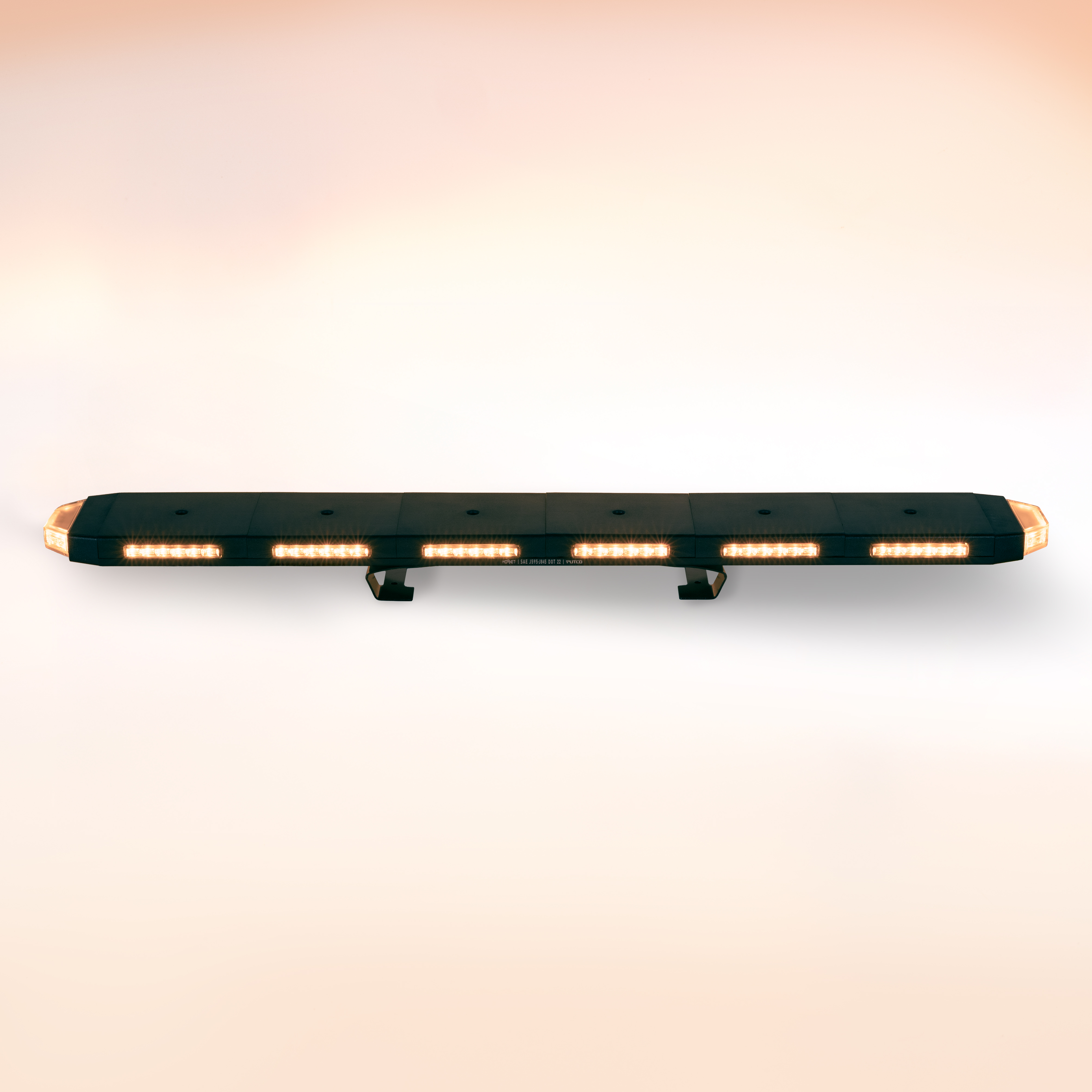 Tri-Color Hornets are so bright it stings! Tri-Color Hornets are so bright it stings!